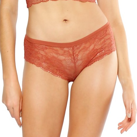 Women's Copper Chantilly Lace Boxer With Elastic Waist